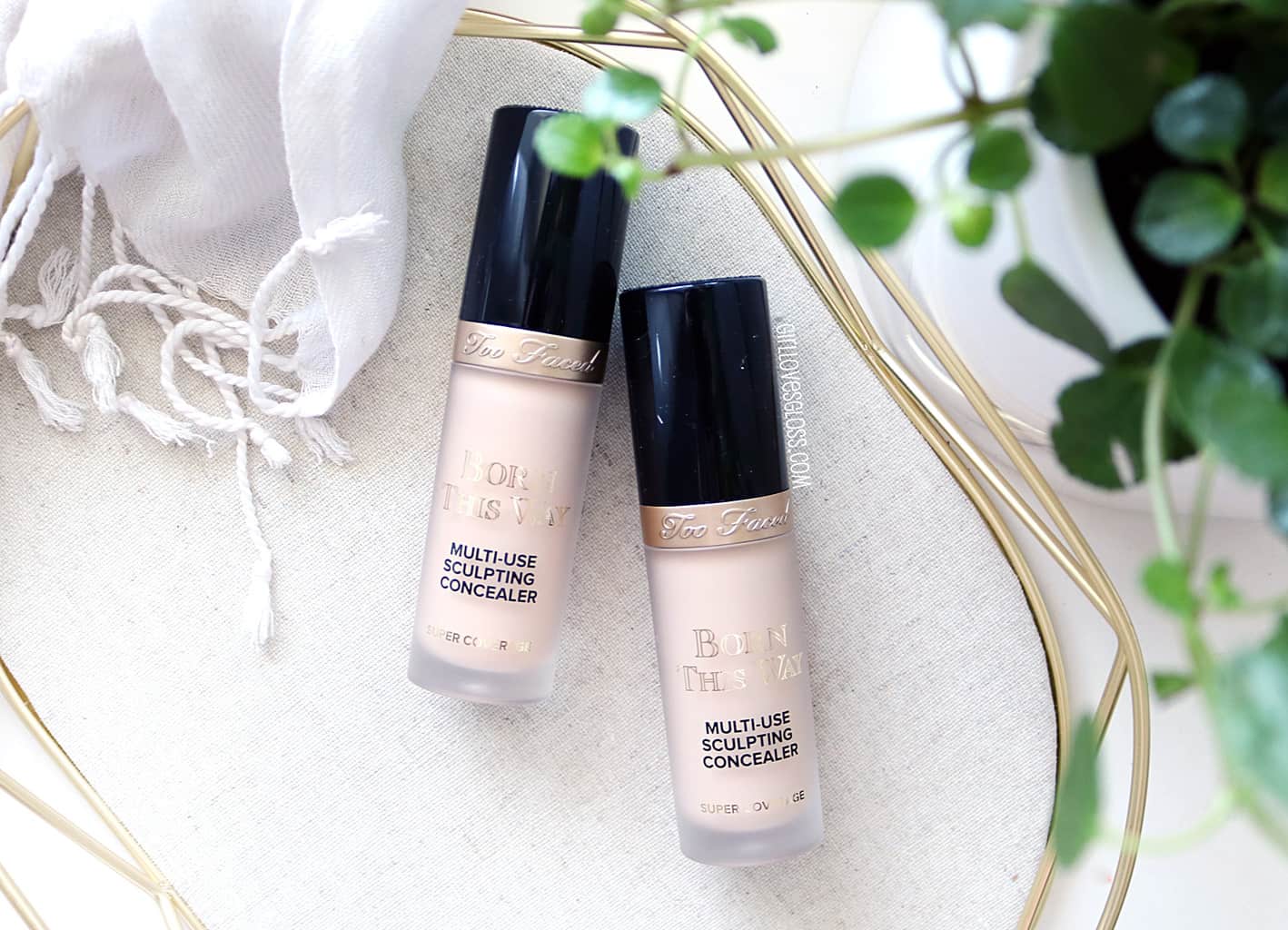 Too Faced Born This Way Super Coverage Multi Use Sculpting Concealer